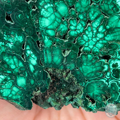High Quality Polished Malachite Slab with Display Stand