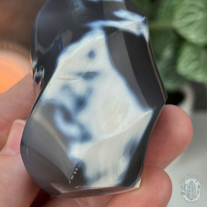 Polished Black and White Orca Agate Flame Carving
