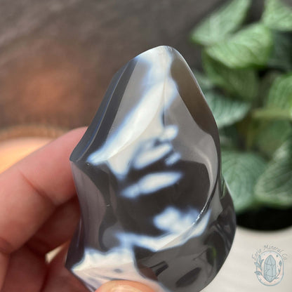Polished Black and White Orca Agate Flame Carving
