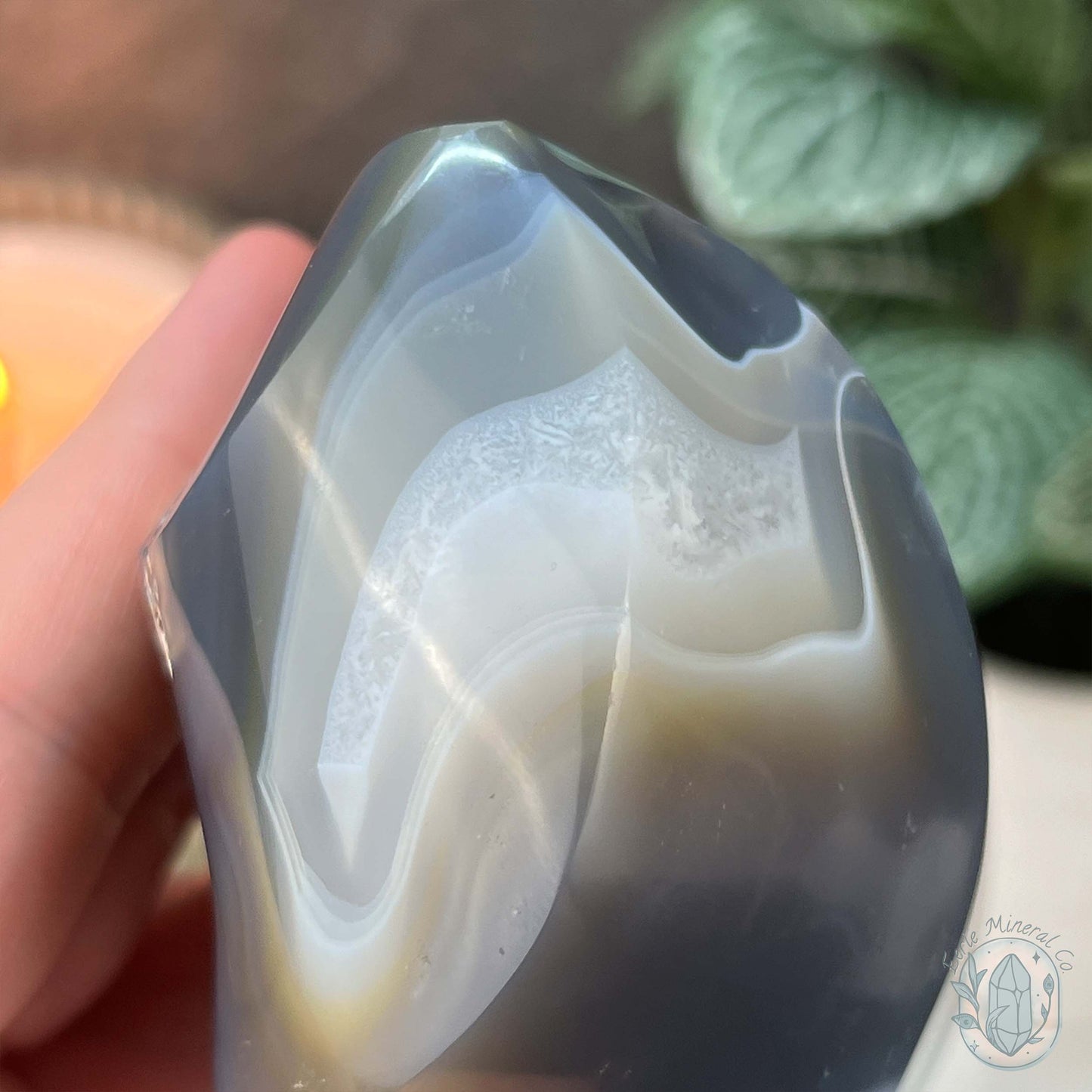 Polished Black and White Orca Agate Flame Carving