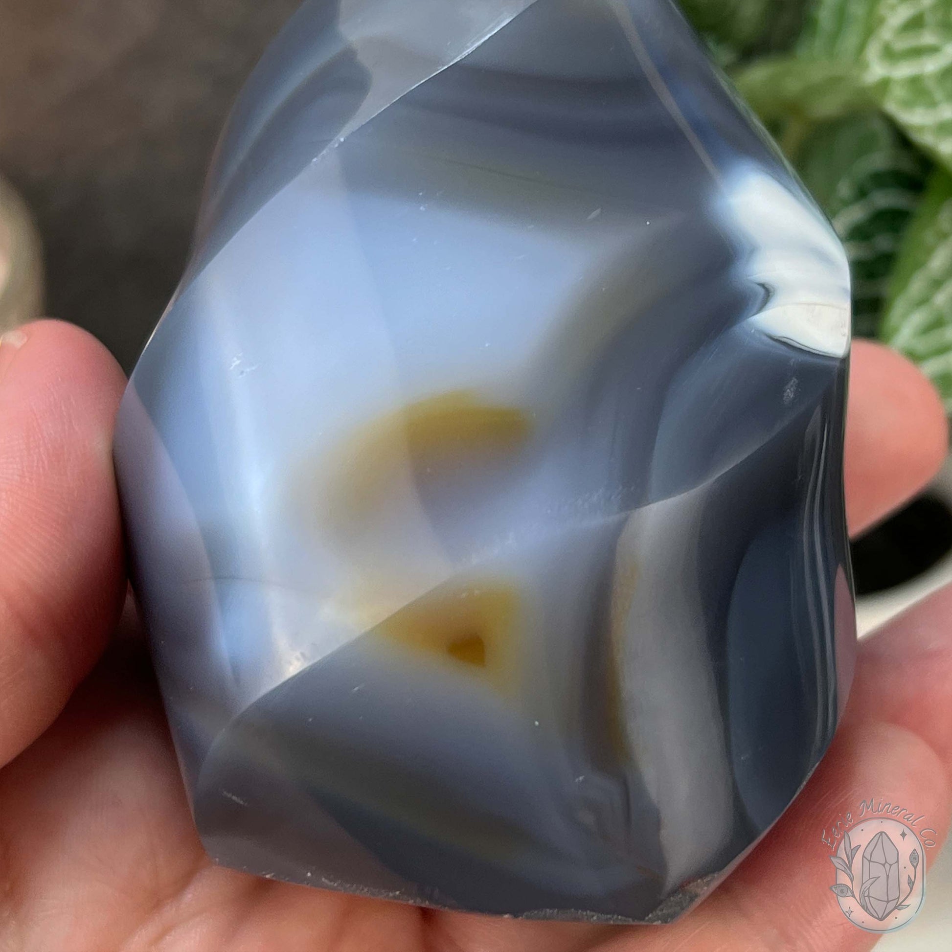 Polished Black and White Orca Agate Flame Carving