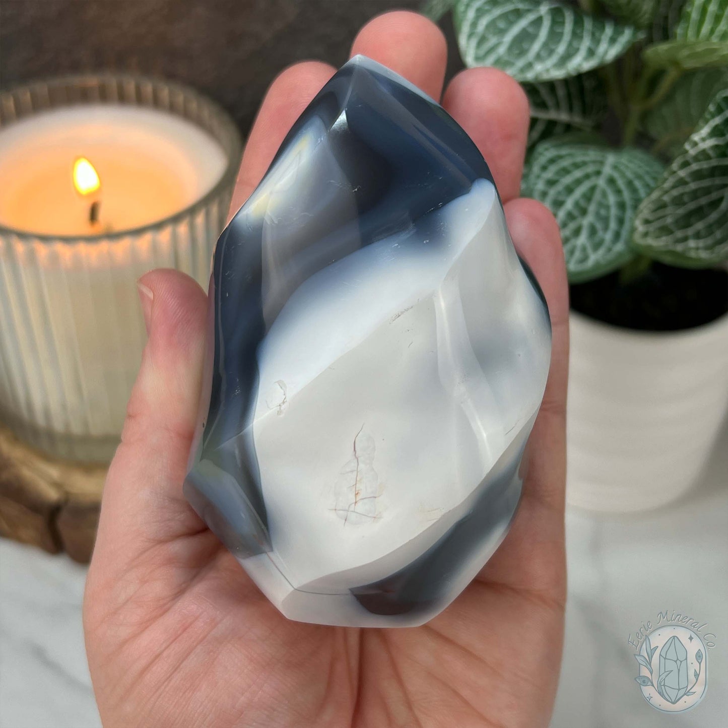 Polished Black and White Orca Agate Flame Carving