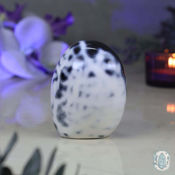 Polished Black & White Orca Agate Freeform Carving