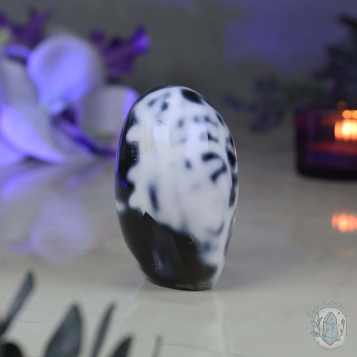 Polished Black & White Orca Agate Freeform Carving