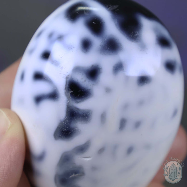 Polished Black & White Orca Agate Freeform Carving