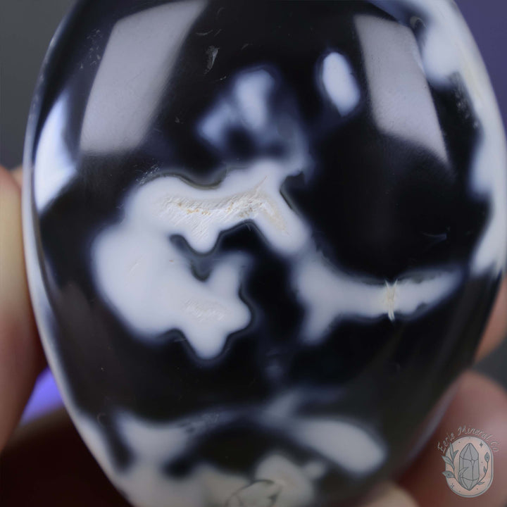 Polished Black & White Orca Agate Freeform Carving