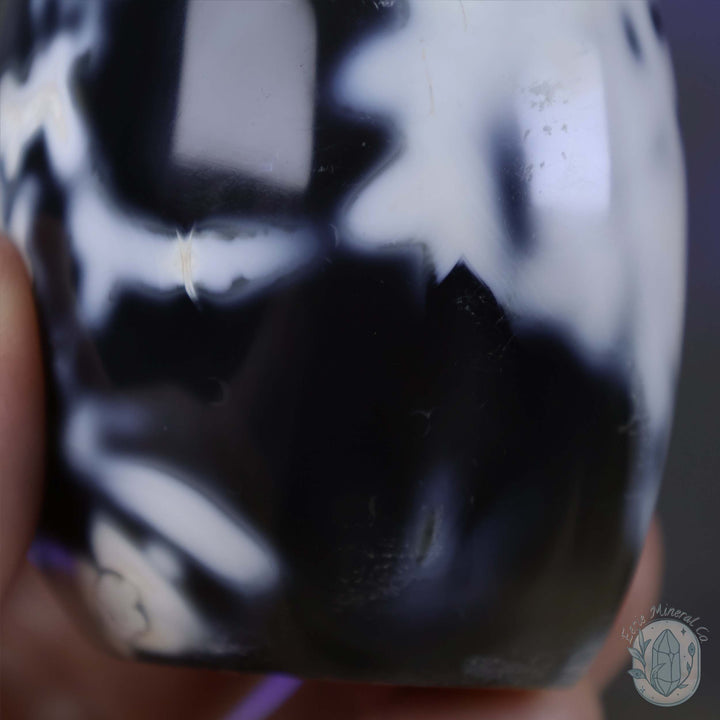 Polished Black & White Orca Agate Freeform Carving