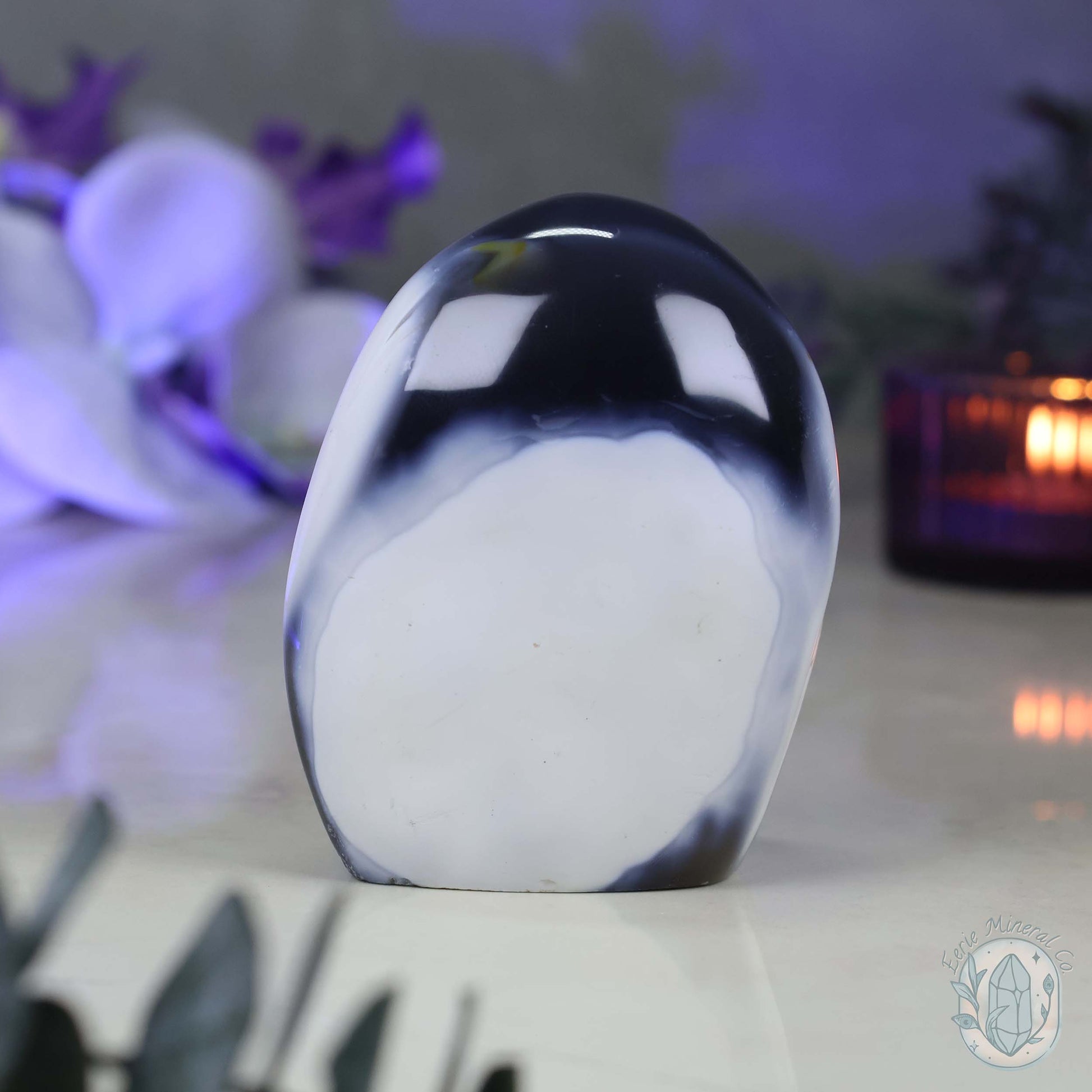 Polished Black & White Orca Agate Freeform Carving