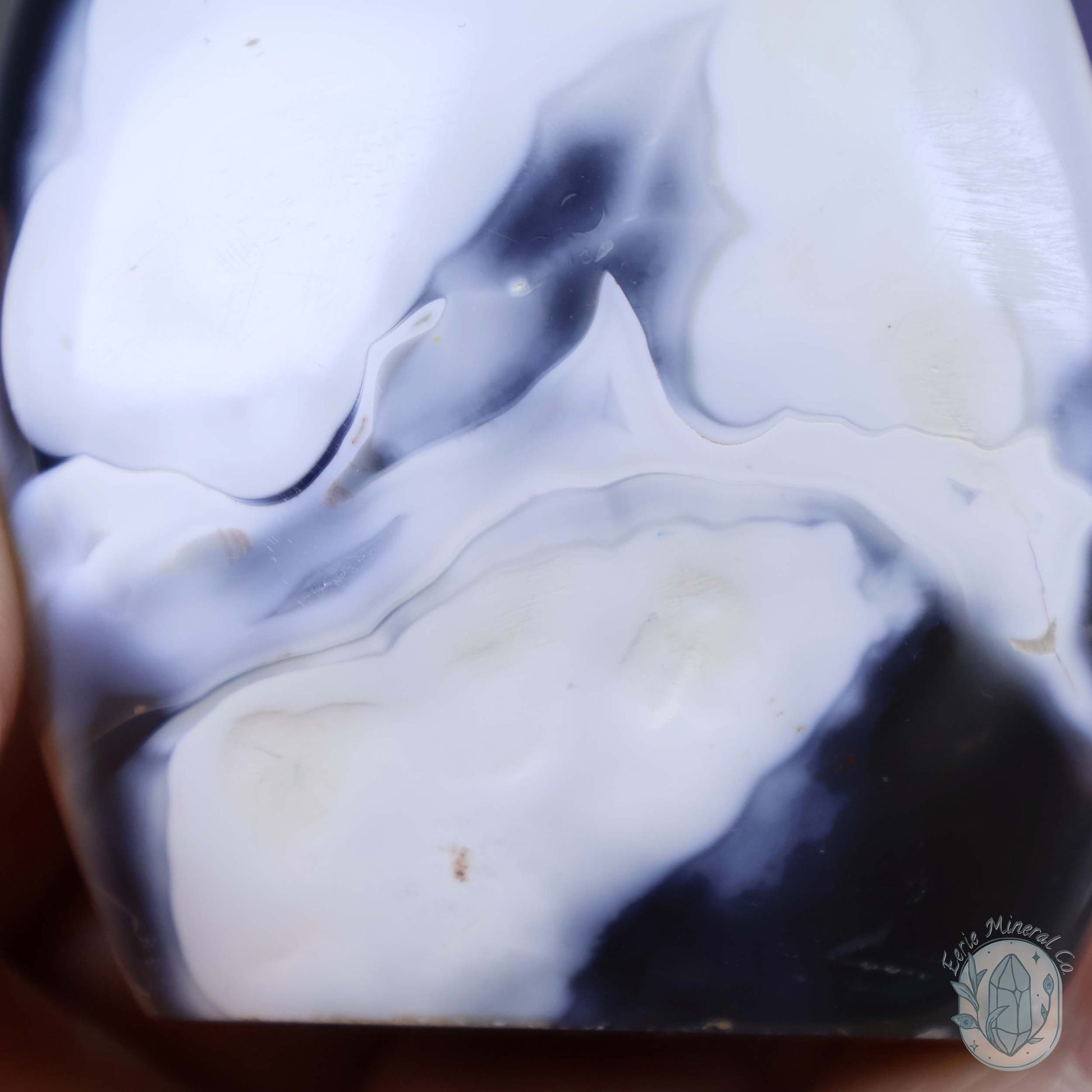Polished Black & White Orca Agate Freeform Carving