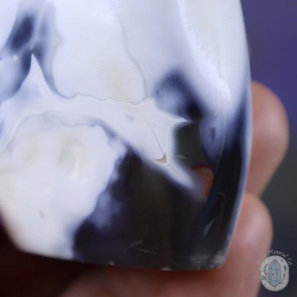 Polished Black & White Orca Agate Freeform Carving