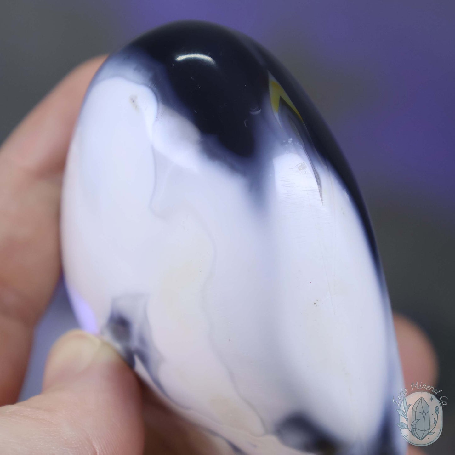 Polished Black & White Orca Agate Freeform Carving
