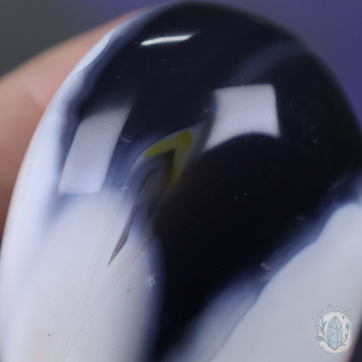 Polished Black & White Orca Agate Freeform Carving