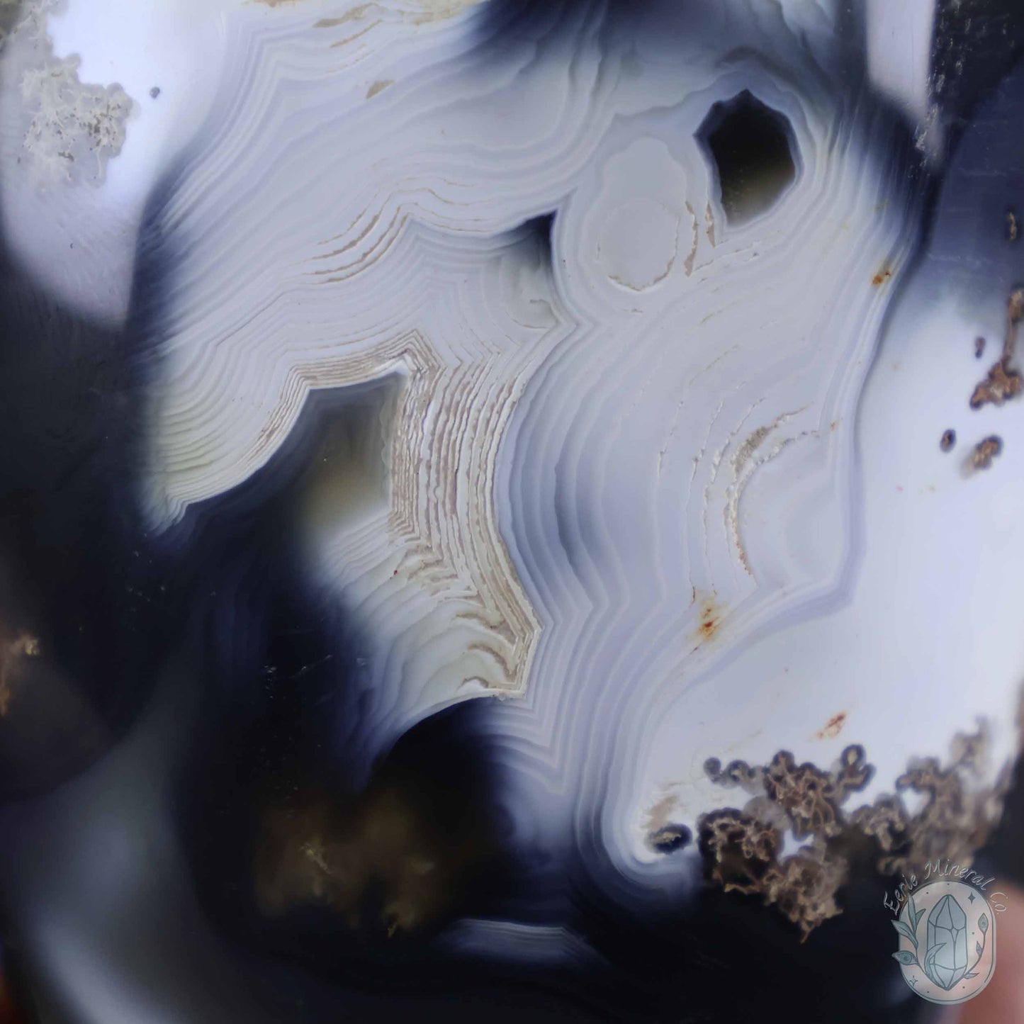 Polished Black & White Orca Agate Freeform Carving