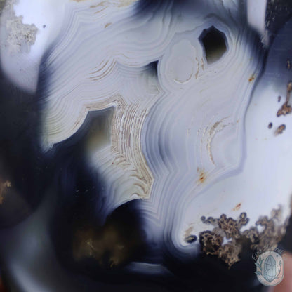 Polished Black & White Orca Agate Freeform Carving