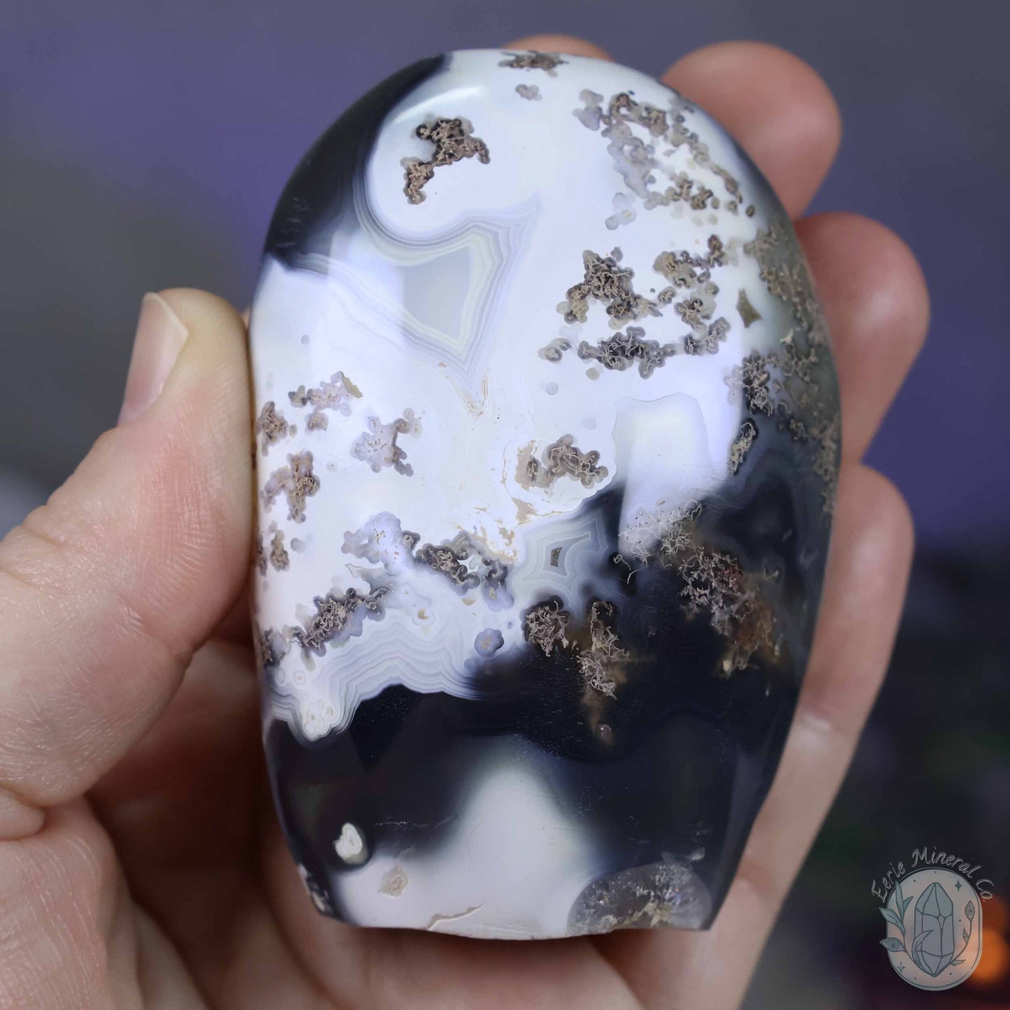 Polished Black & White Orca Agate Freeform Carving