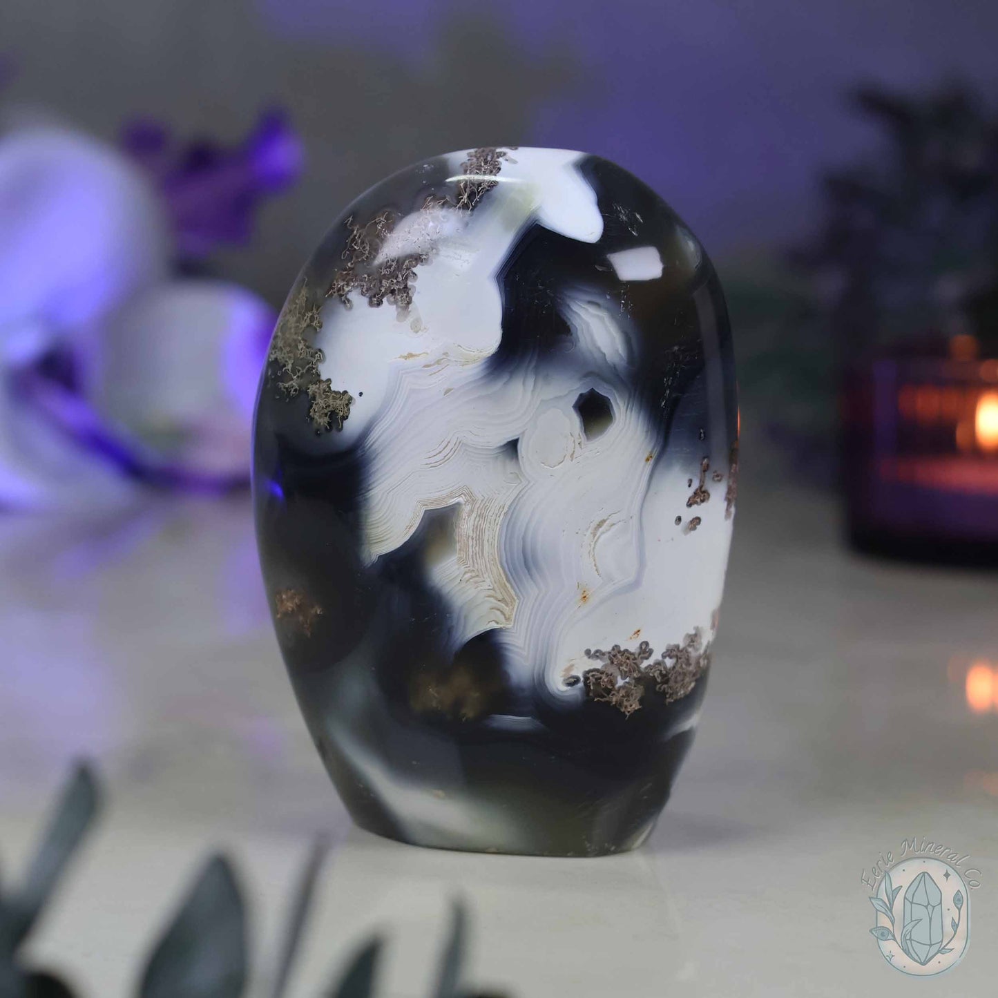 Polished Black & White Orca Agate Freeform Carving