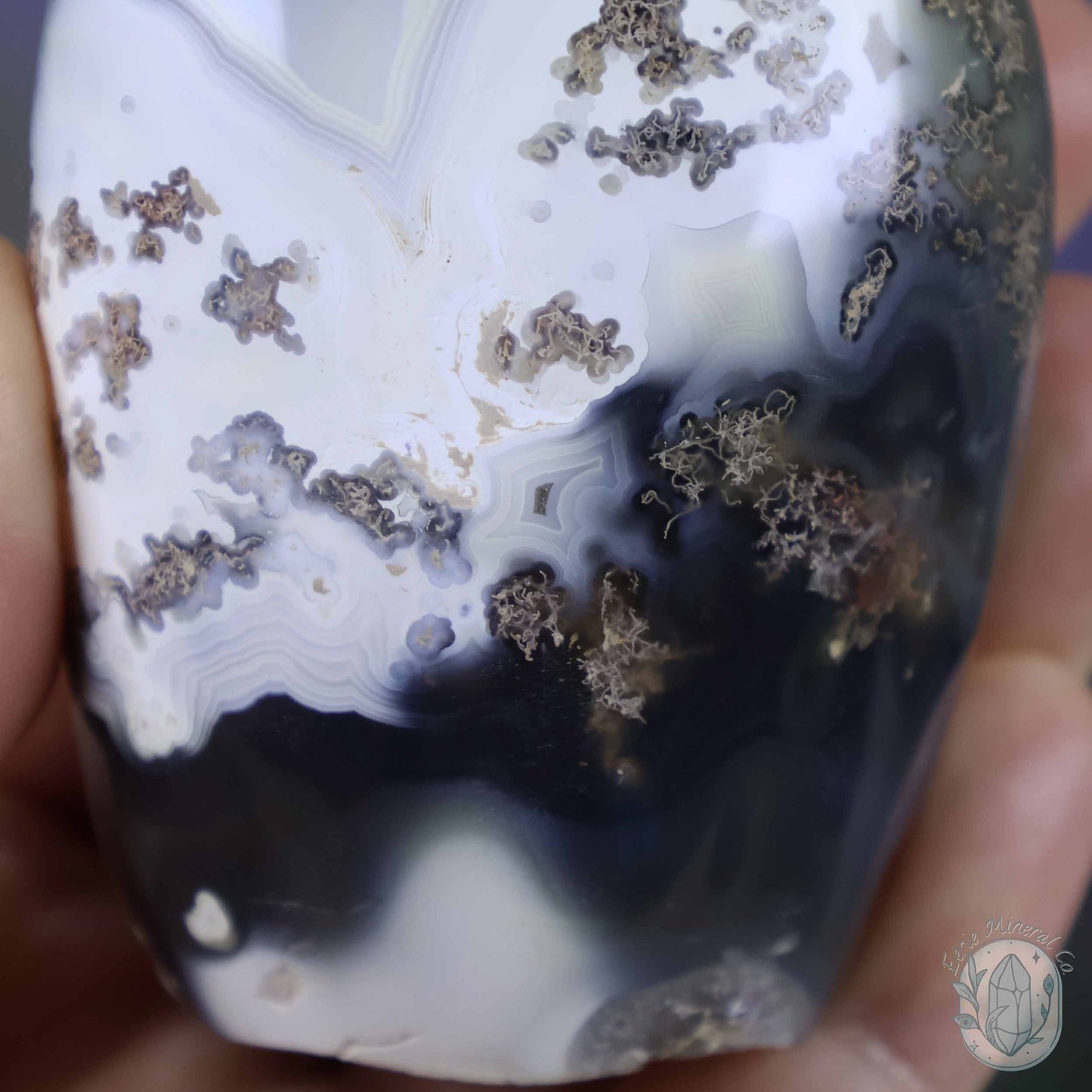 Polished Black & White Orca Agate Freeform Carving