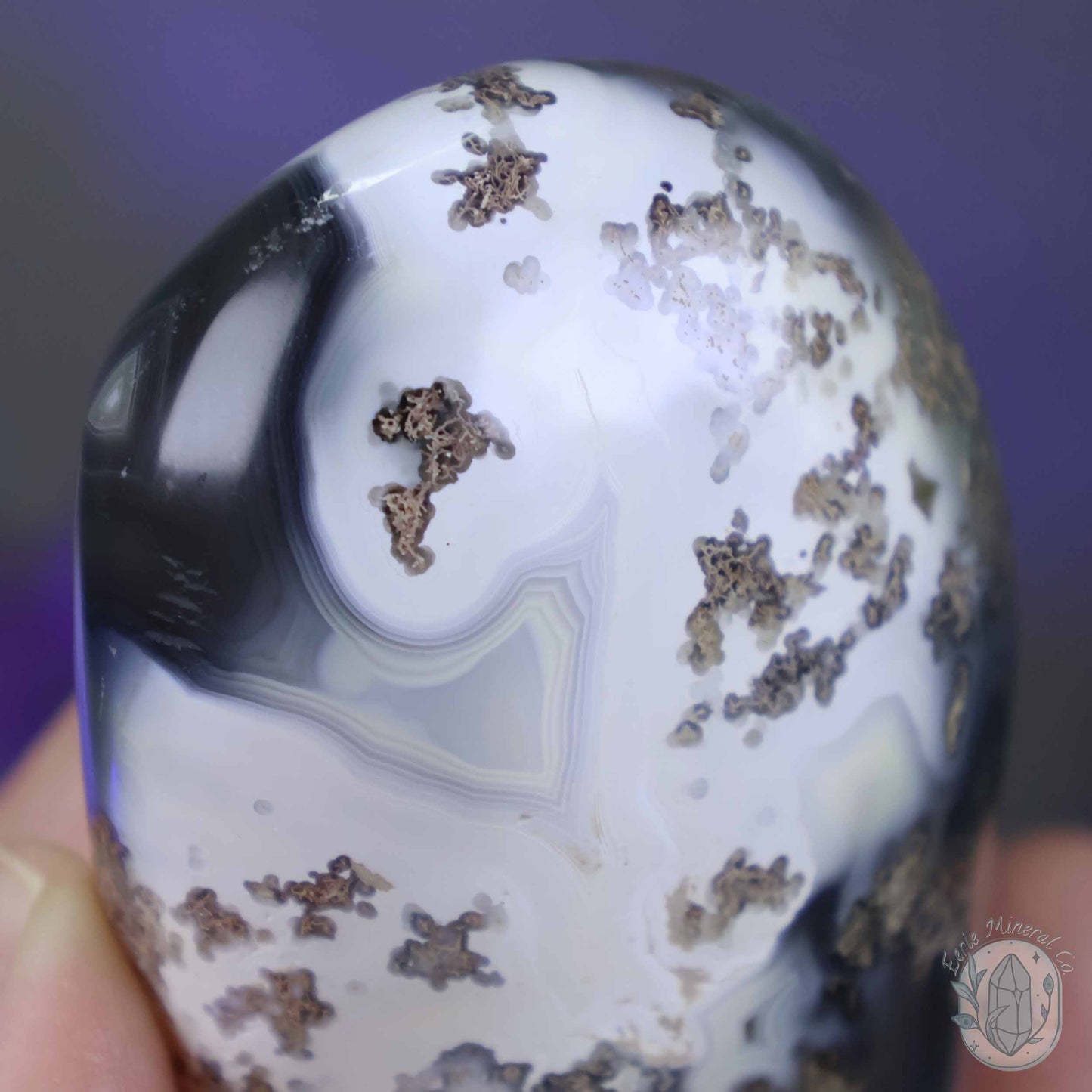 Polished Black & White Orca Agate Freeform Carving