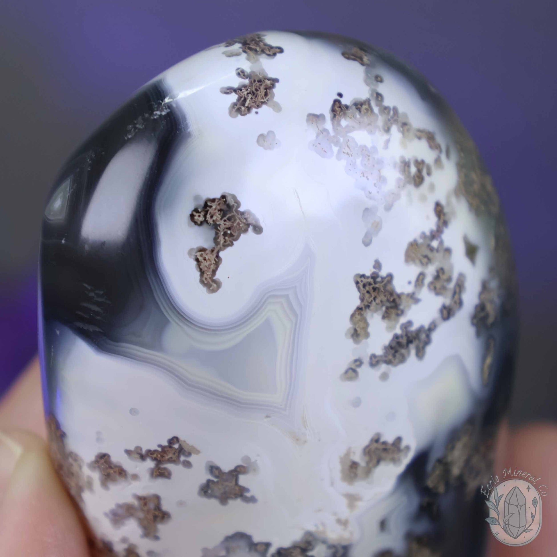 Polished Black & White Orca Agate Freeform Carving