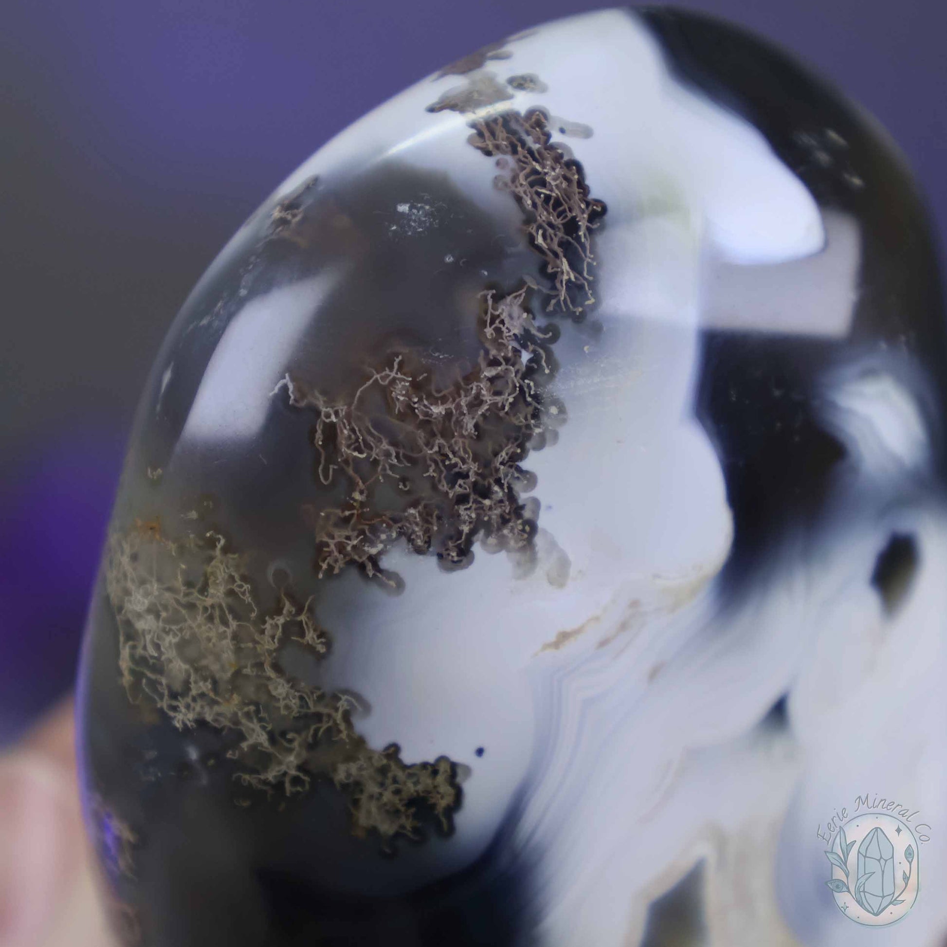 Polished Black & White Orca Agate Freeform Carving