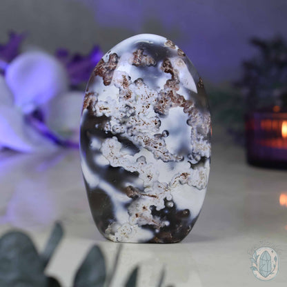 Polished Orca Agate Freeform Carving