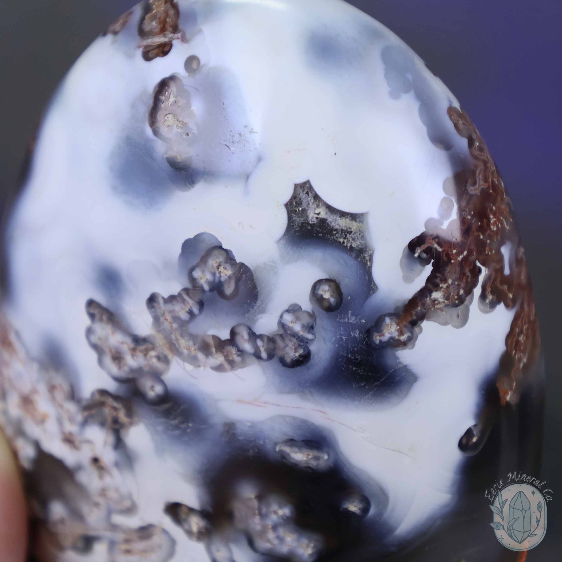 Polished Orca Agate Freeform Carving