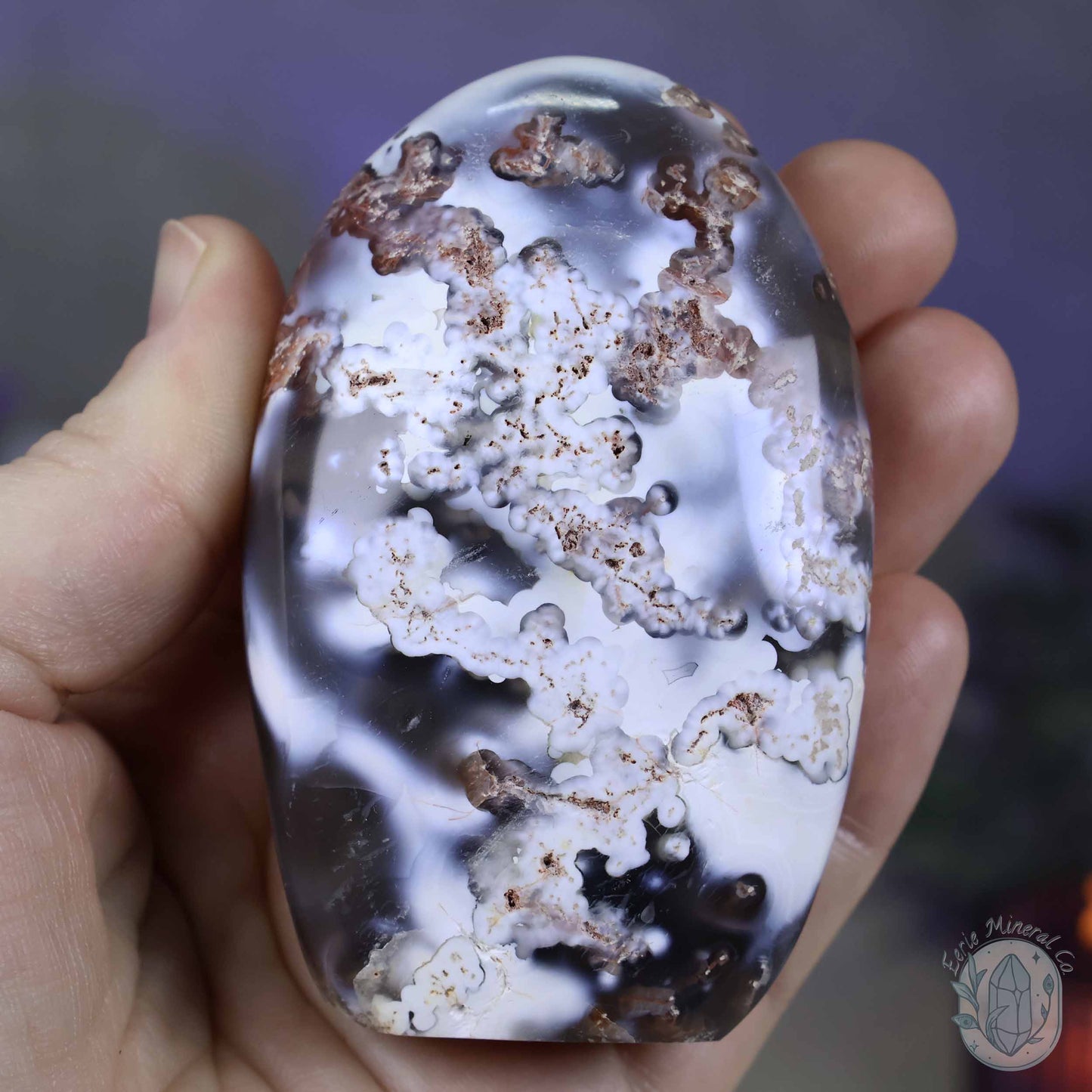 Polished Orca Agate Freeform Carving