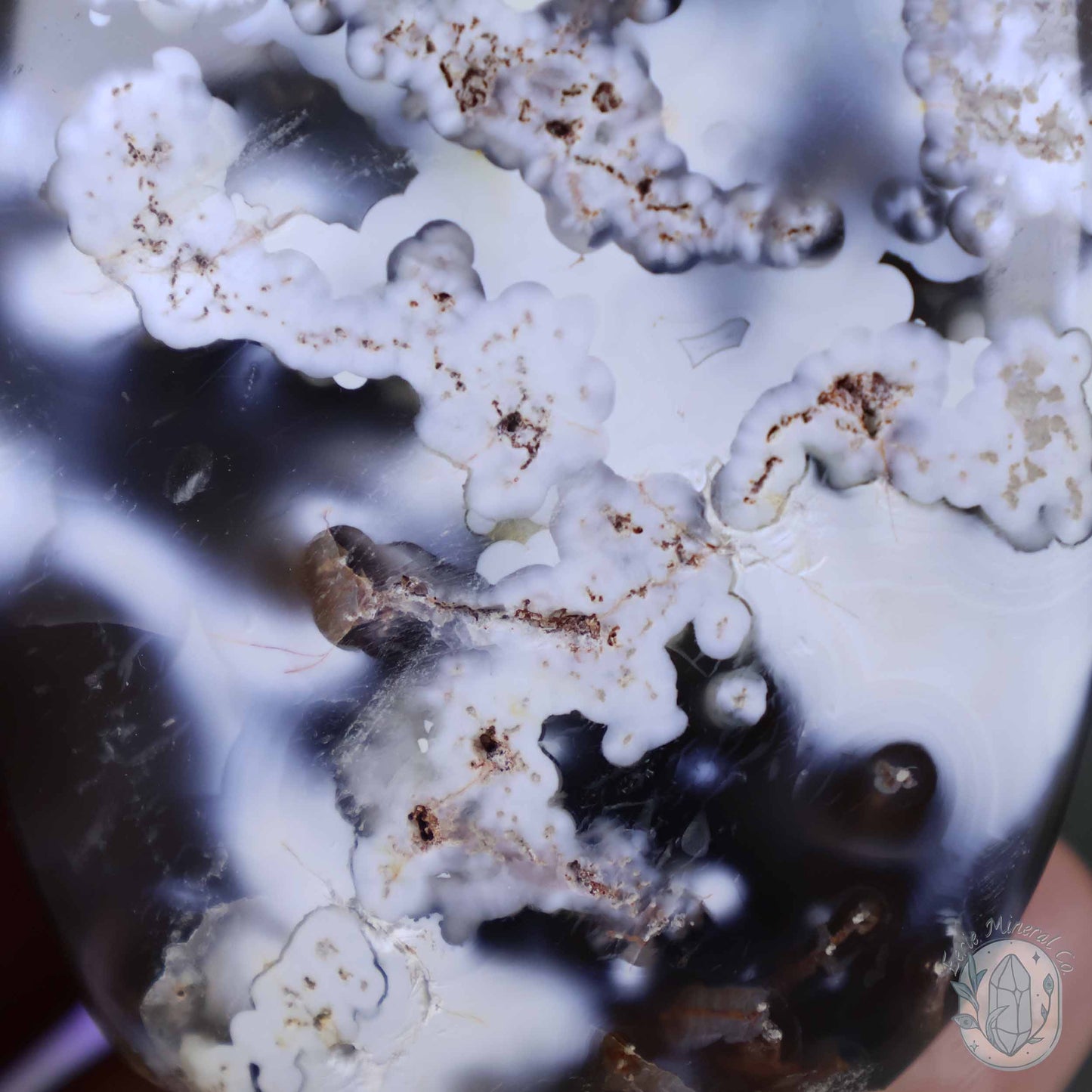 Polished Orca Agate Freeform Carving