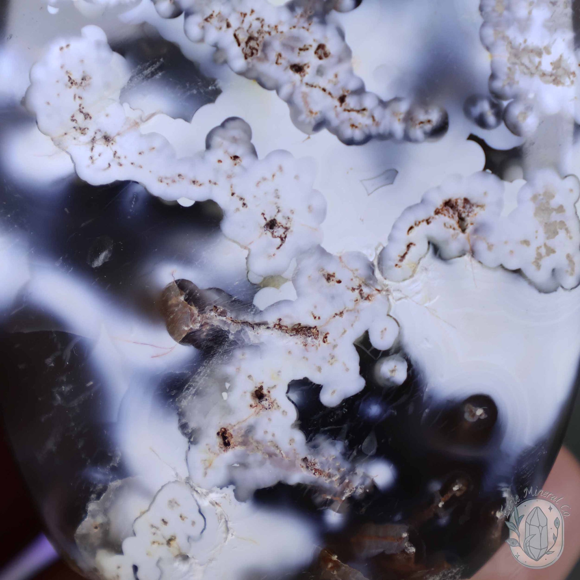 Polished Orca Agate Freeform Carving