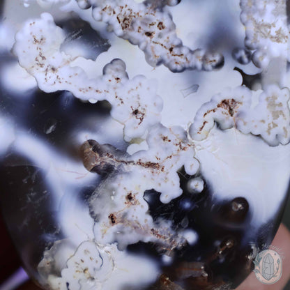 Polished Orca Agate Freeform Carving