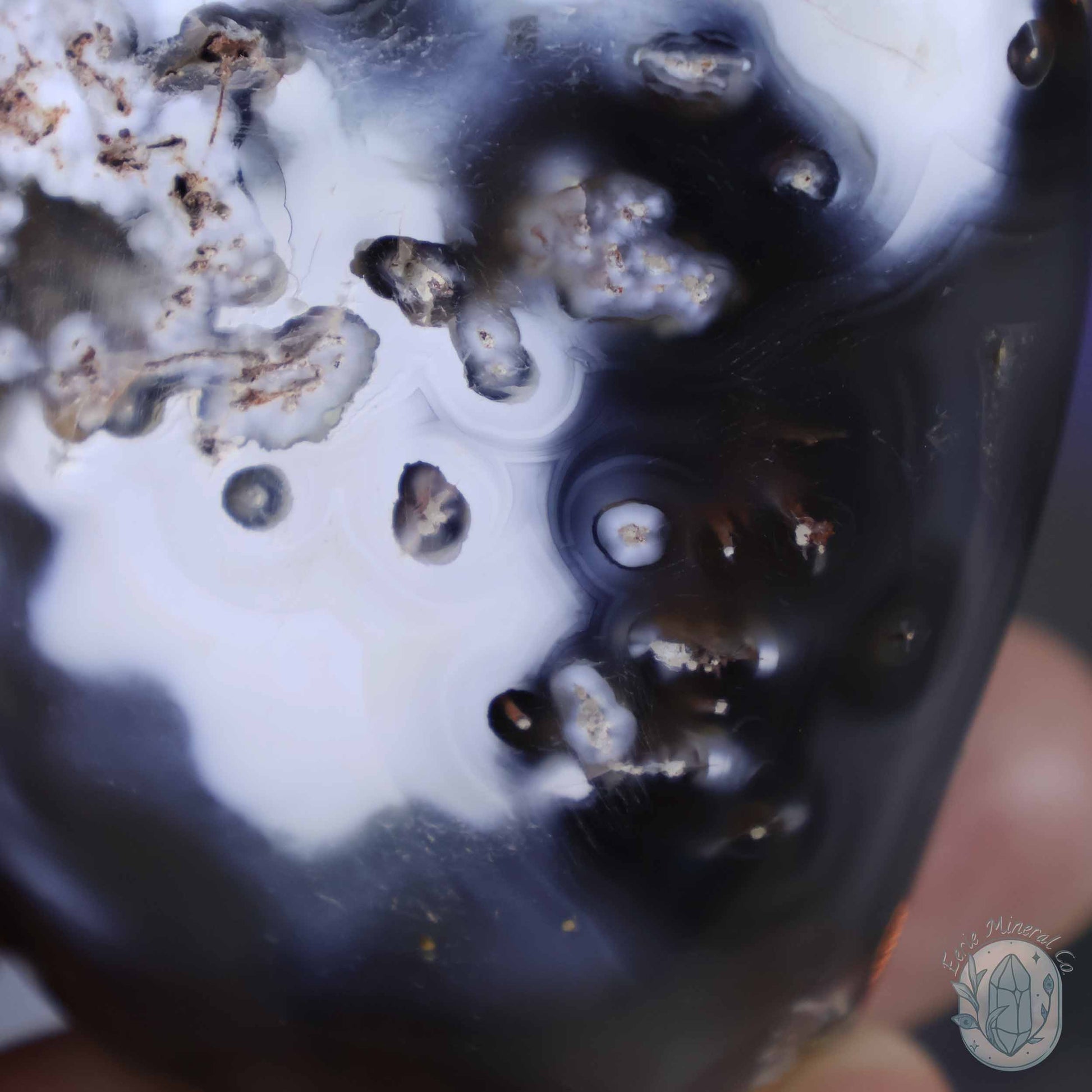 Polished Orca Agate Freeform Carving