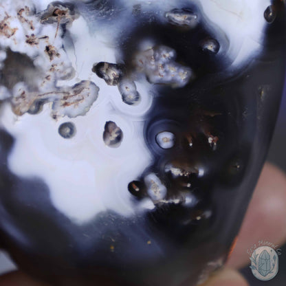 Polished Orca Agate Freeform Carving