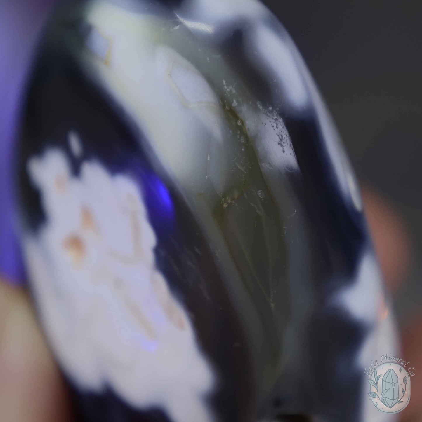 Polished Orca Agate Freeform Carving