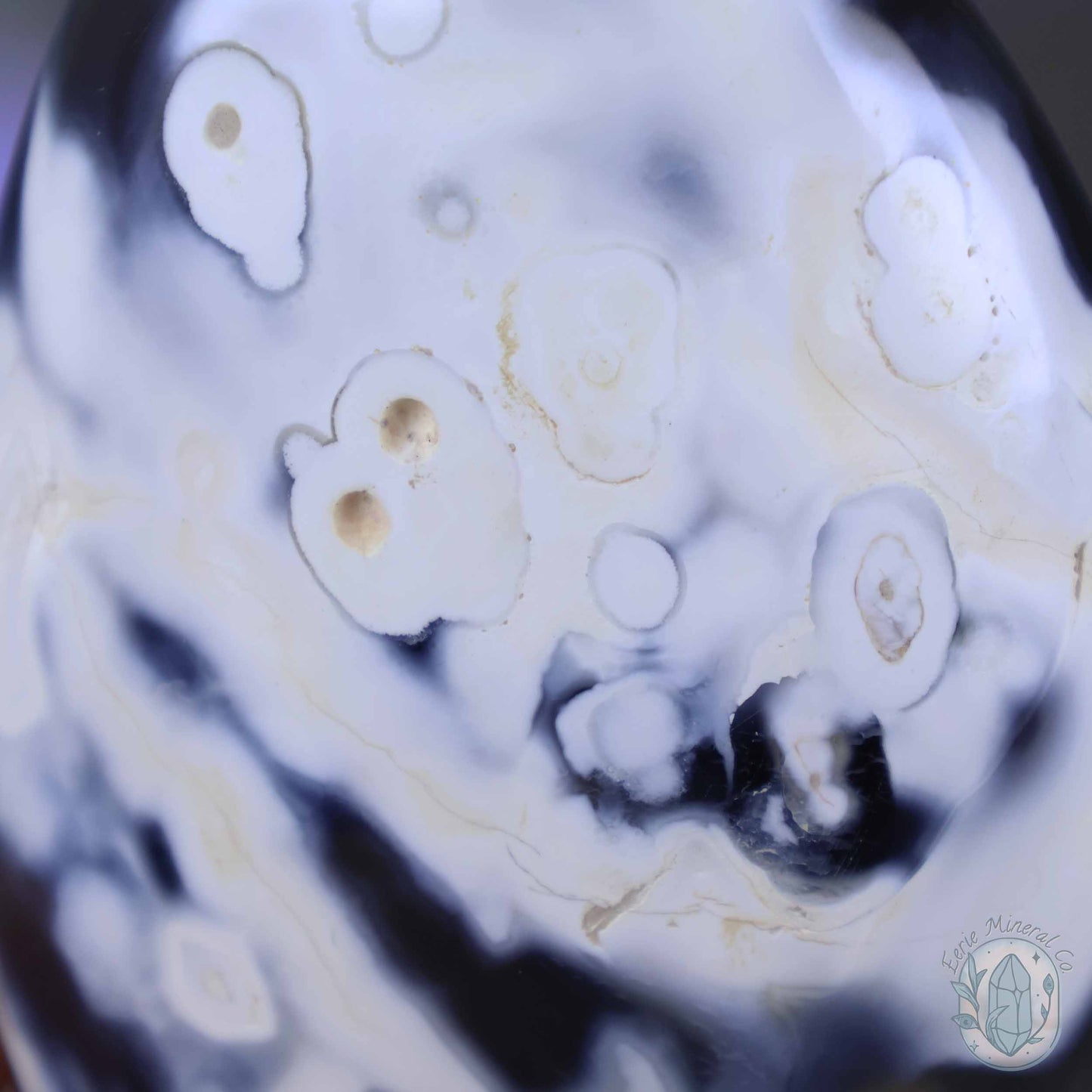 Polished Orca Agate Freeform Carving