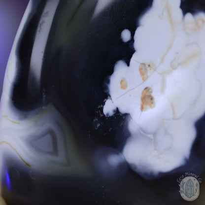 Polished Orca Agate Freeform Carving