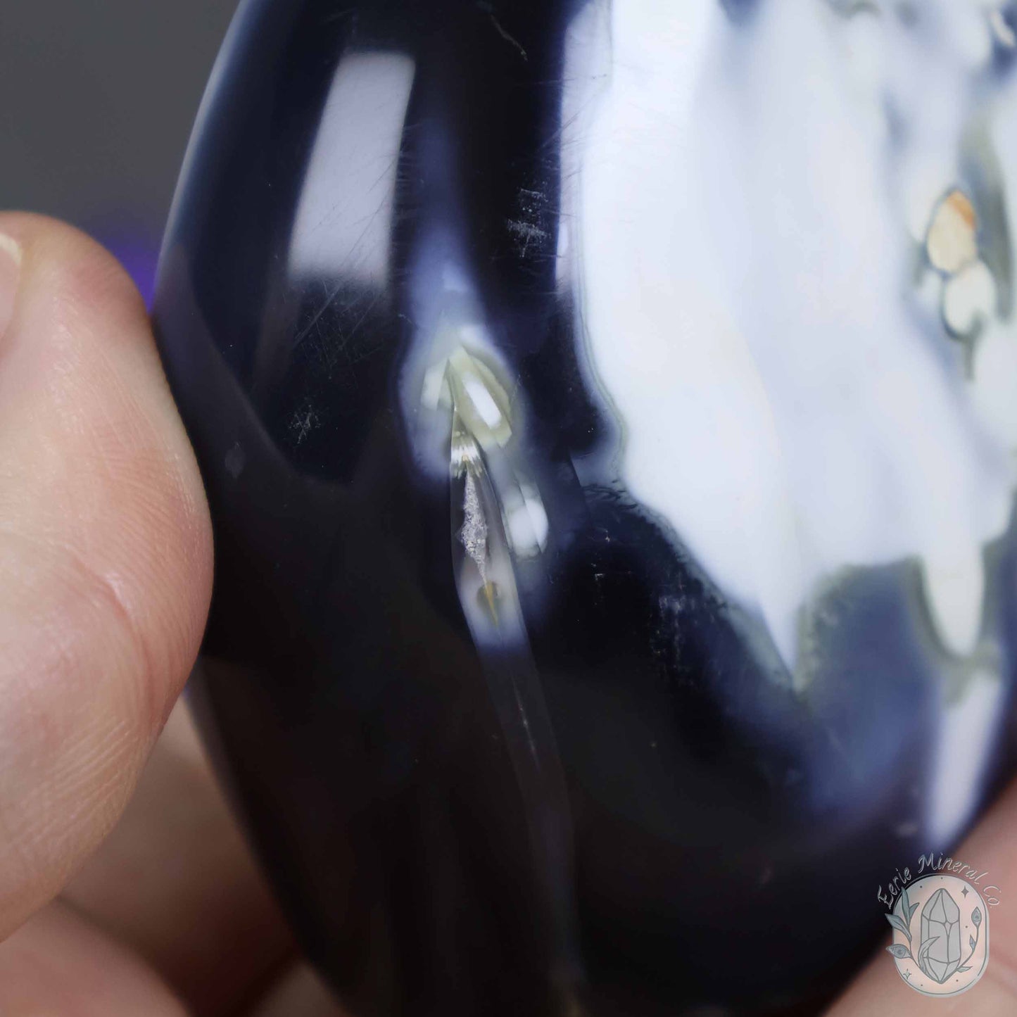 Polished Black and White Orca Agate Freeform