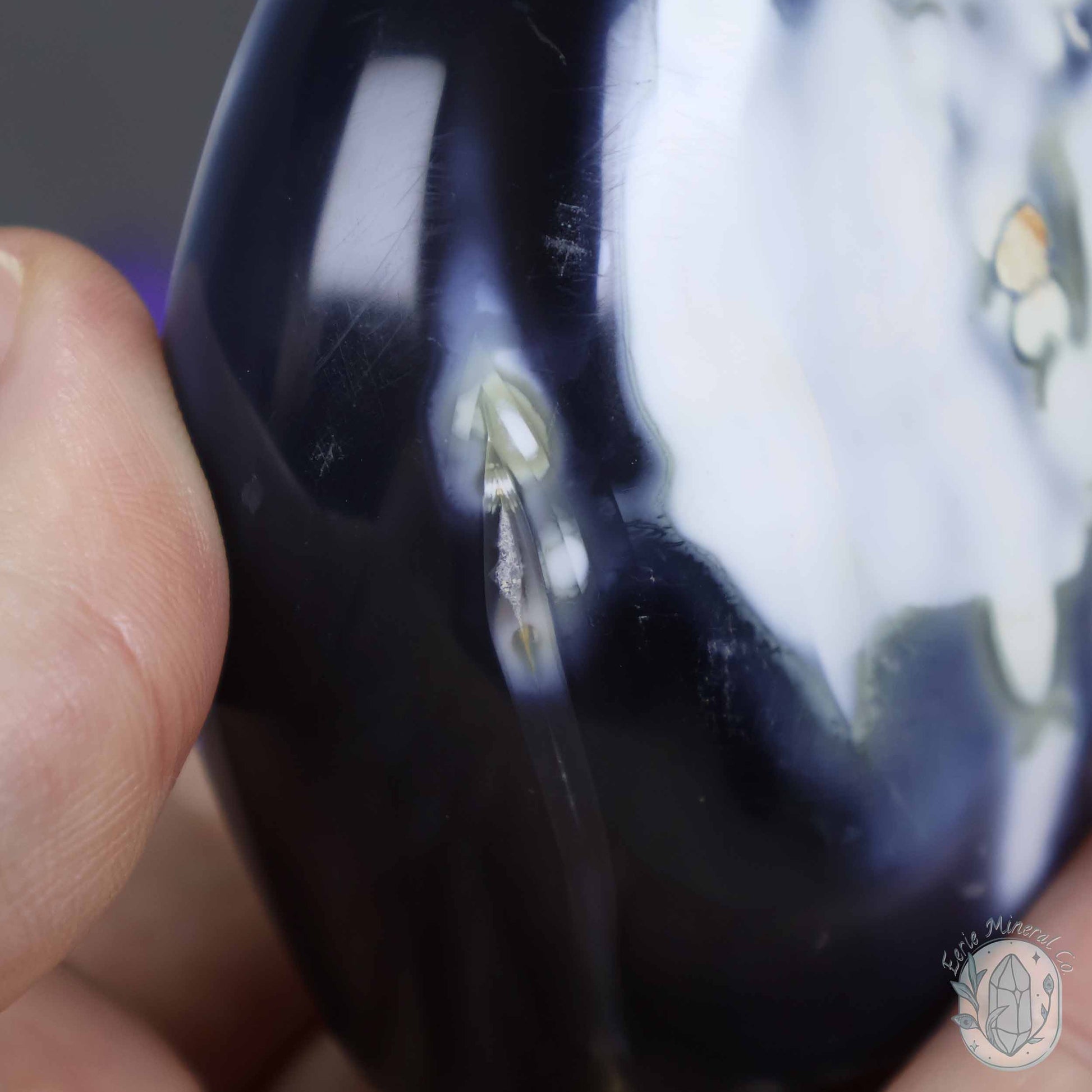 Polished Black and White Orca Agate Freeform