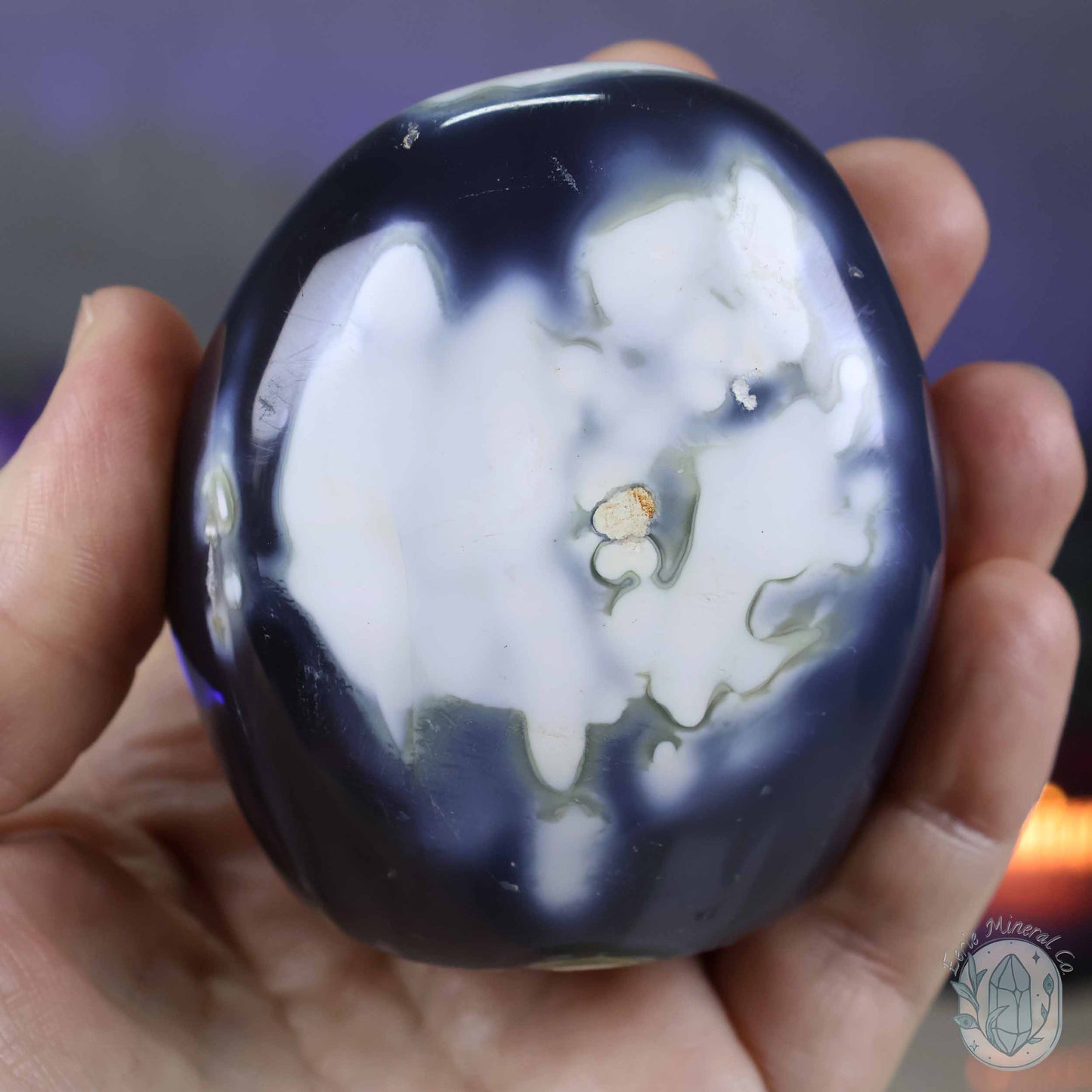 Polished Black and White Orca Agate Freeform
