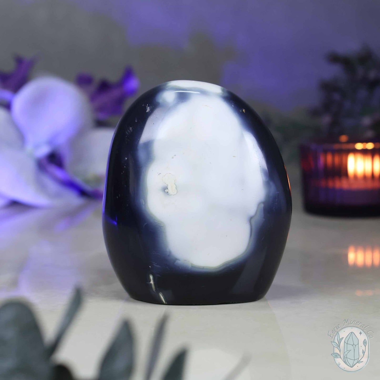 Polished Black and White Orca Agate Freeform