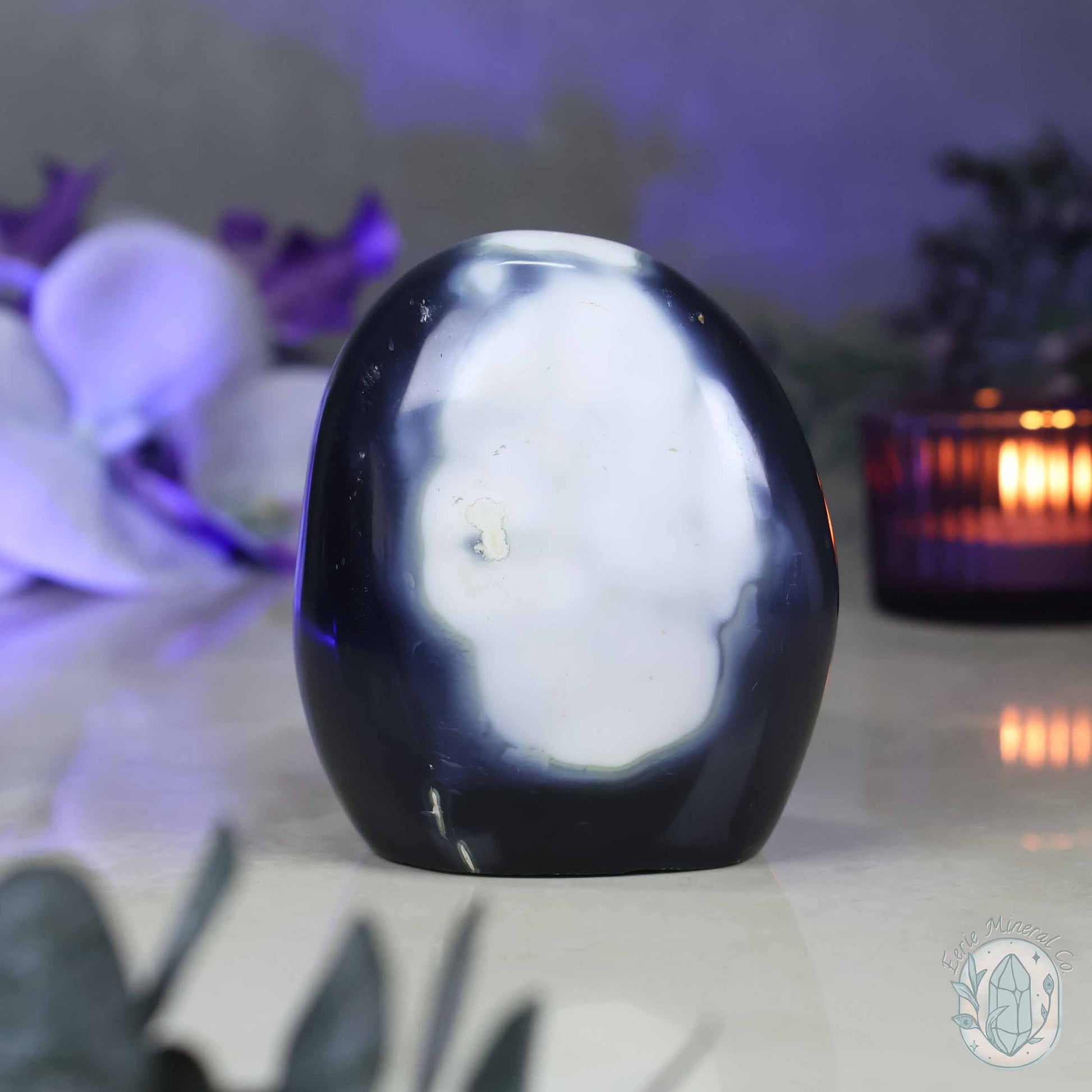 Polished Black and White Orca Agate Freeform