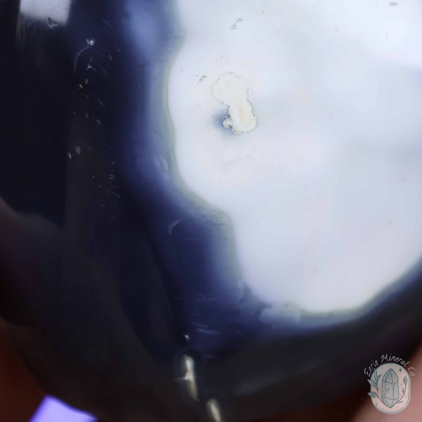 Polished Black and White Orca Agate Freeform
