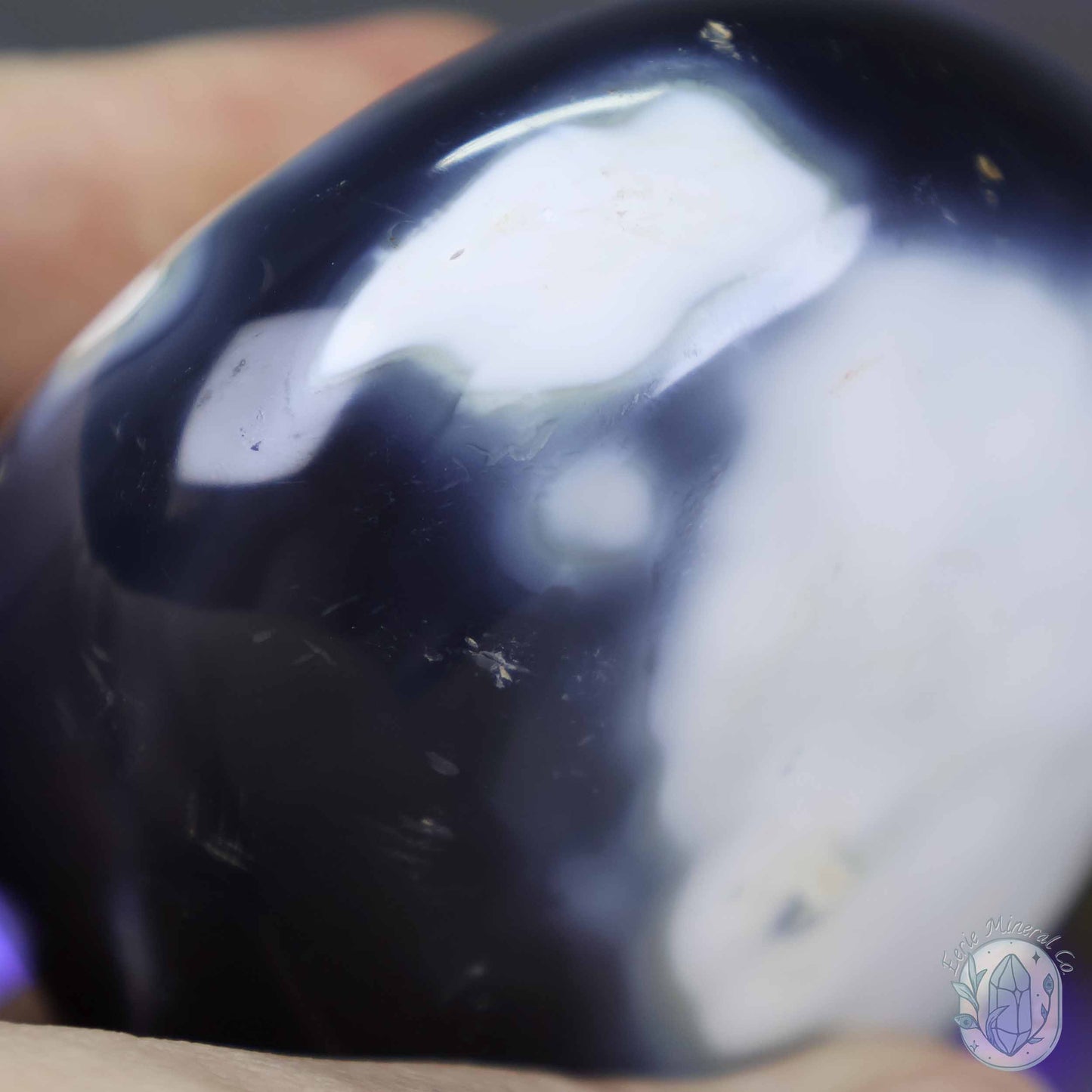 Polished Black and White Orca Agate Freeform