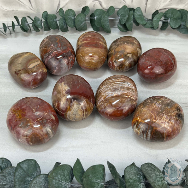 Polished Petrified Wood Palm Stones