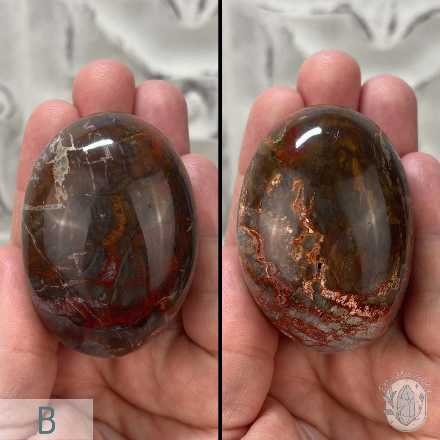 Polished Petrified Wood Palm Stones