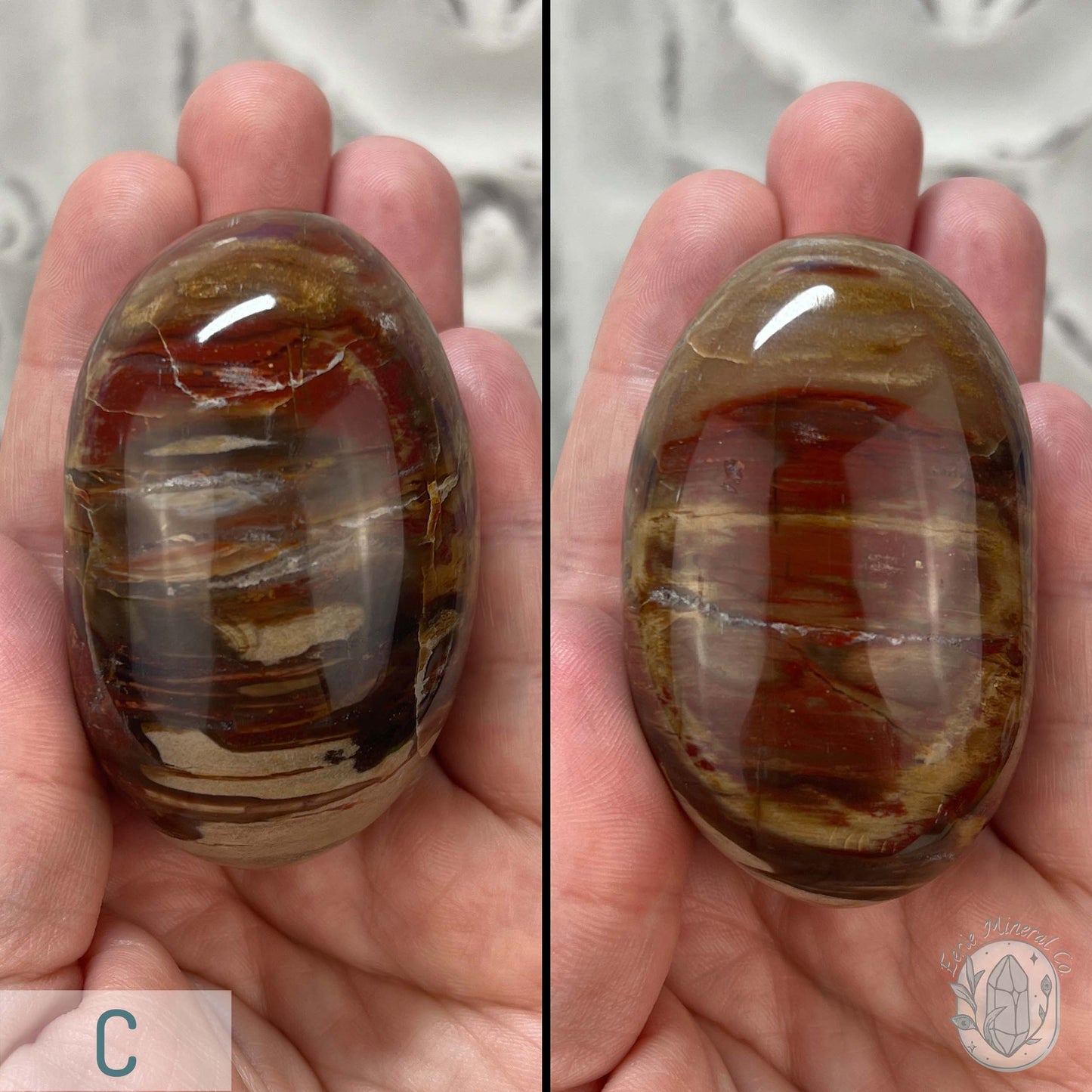Polished Petrified Wood Palm Stones