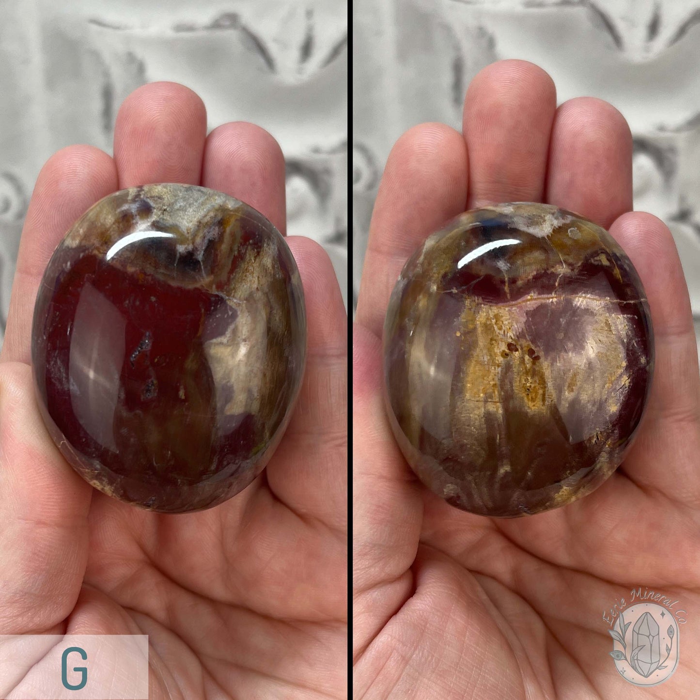 Polished Petrified Wood Palm Stones