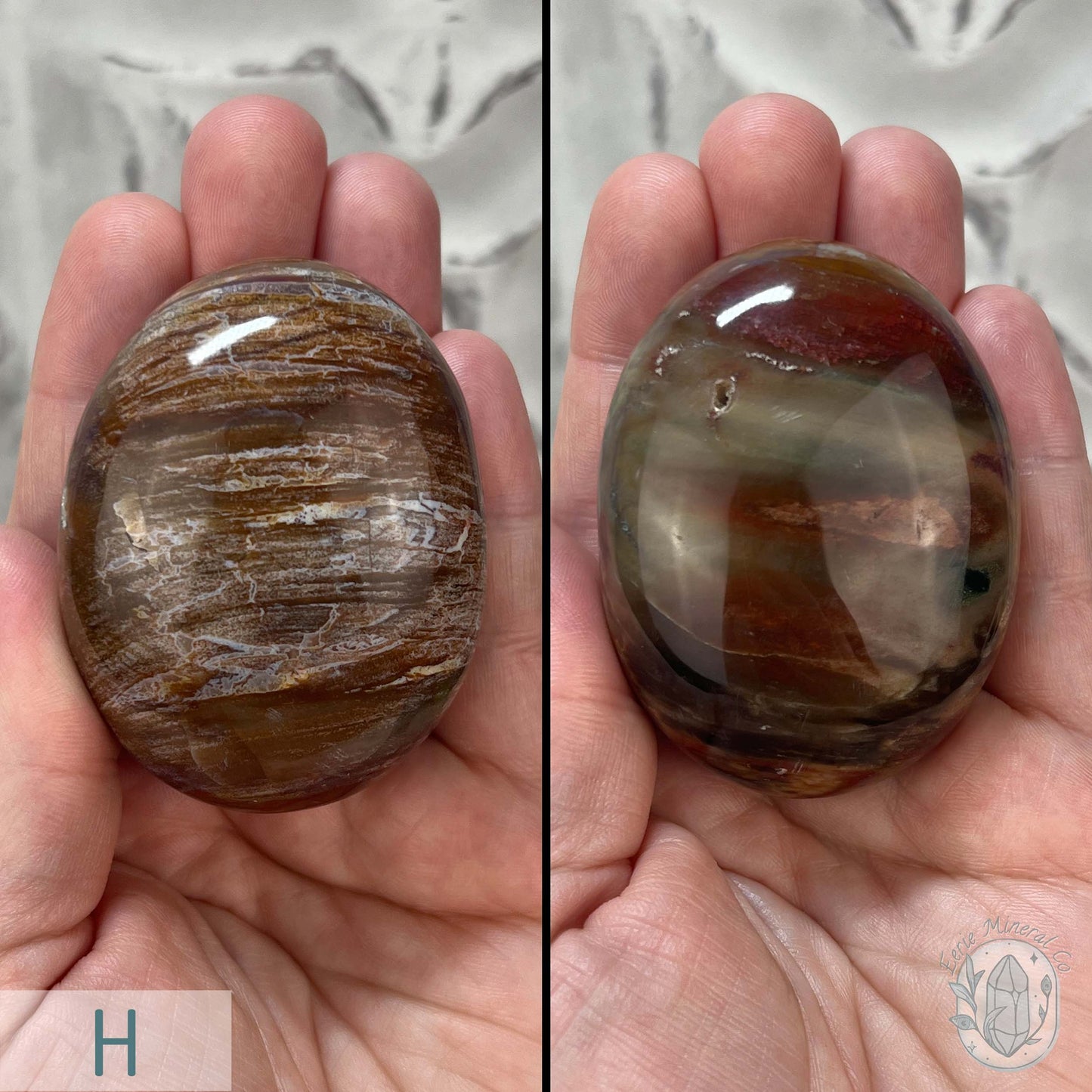 Polished Petrified Wood Palm Stones