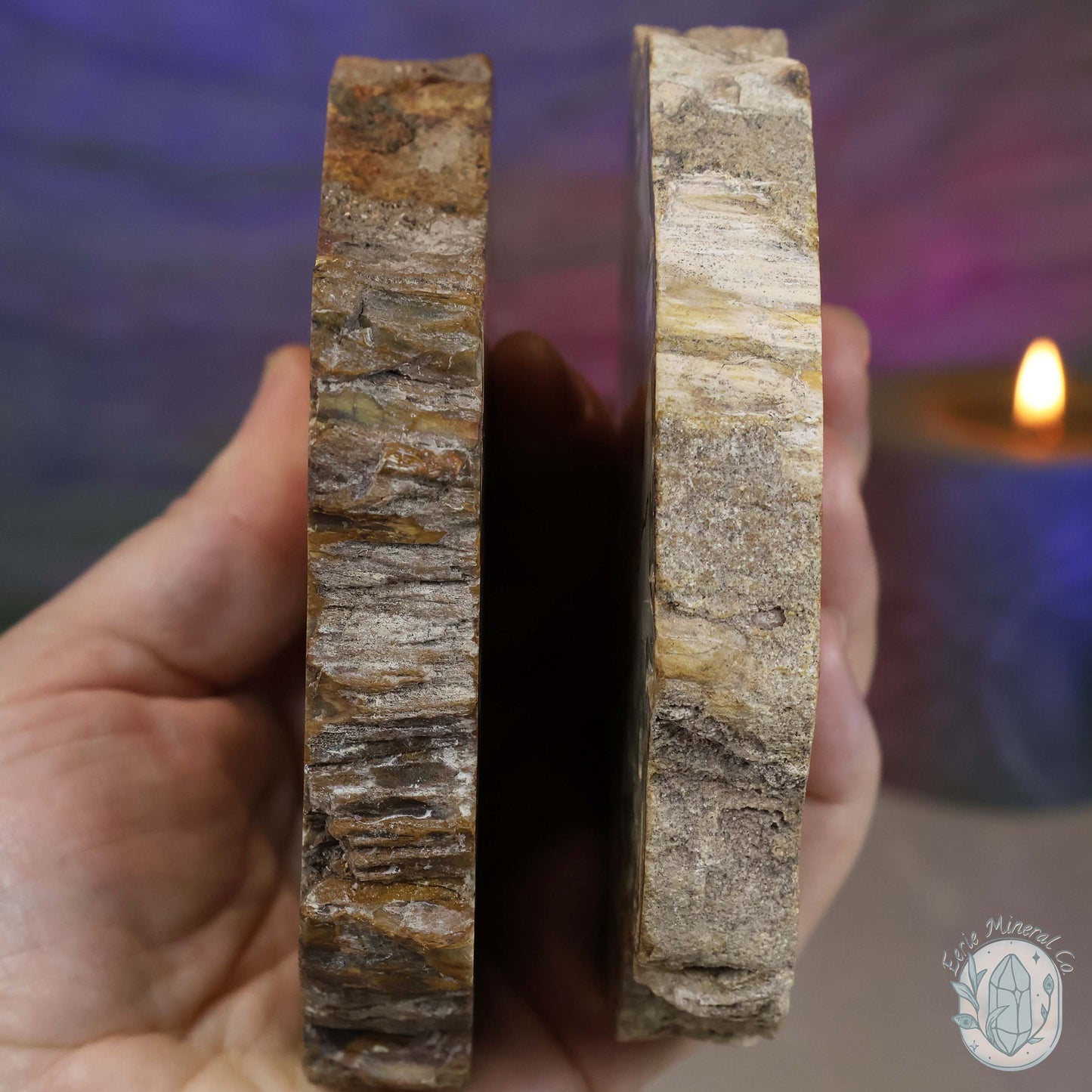 Polished High Quality Petrified Wood Slabs