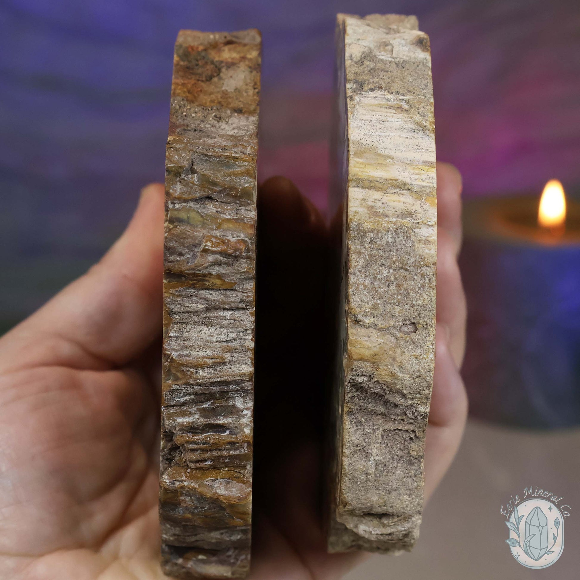 Polished High Quality Petrified Wood Slabs