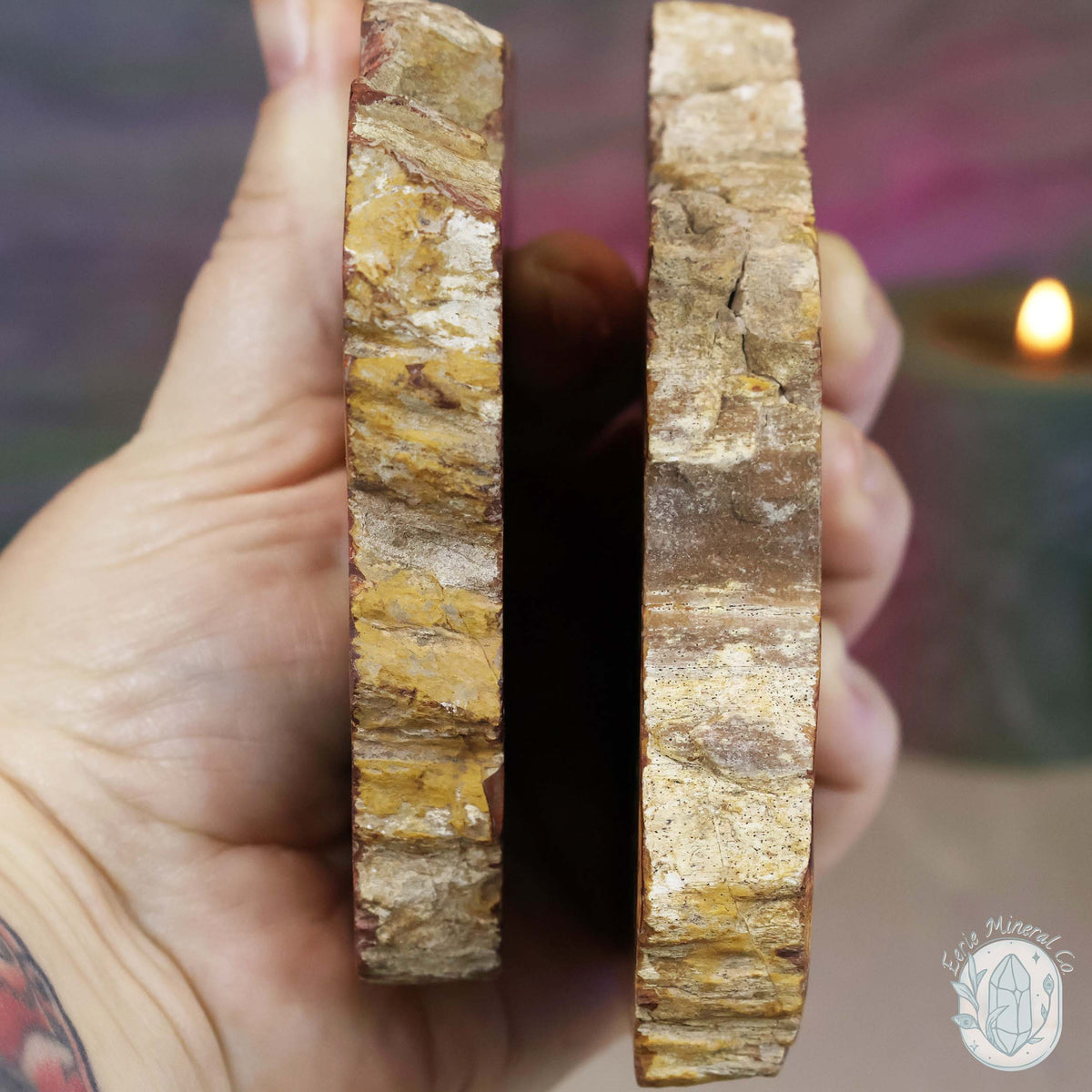 High Quality Polished Petrified Wood Slabs
